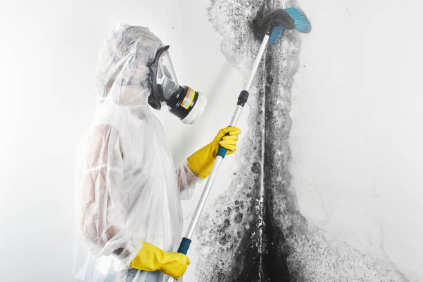 Dehumidification Services in Lakeland, GA
