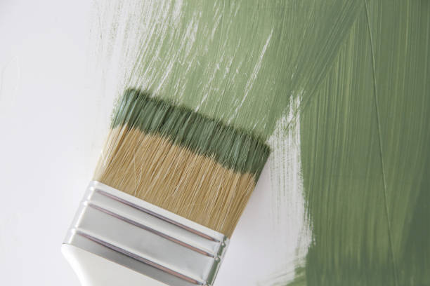 Best Attic Mold Removal  in Lakeland, GA