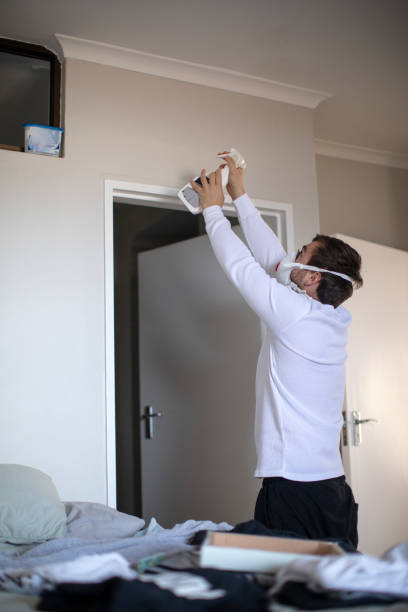 Best Asbestos and Lead Testing During Mold Inspection  in Lakeland, GA