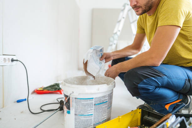 Professional Mold Removal in Lakeland, GA