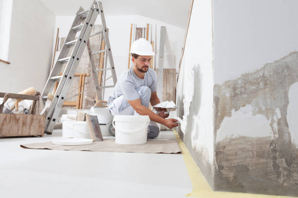 Best Post-Construction Mold Inspection  in Lakeland, GA