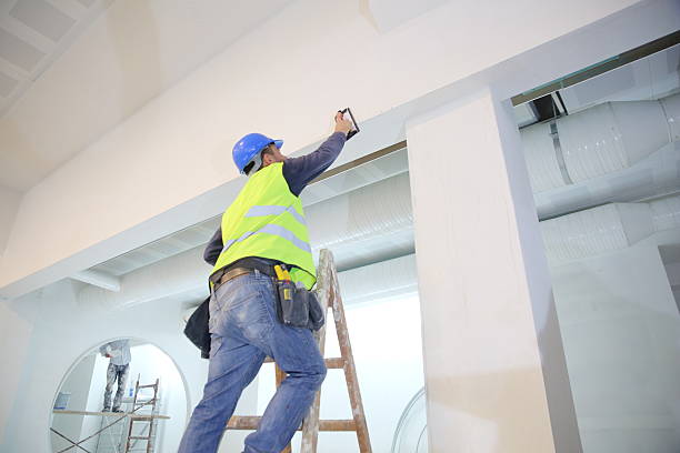 Best Commercial Mold Inspection  in Lakeland, GA