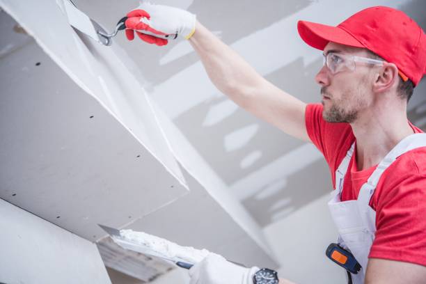 Best Black Mold Removal  in Lakeland, GA