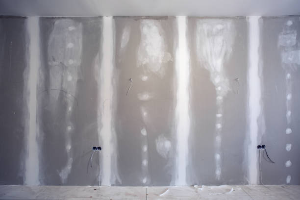 Best Post-Construction Mold Inspection  in Lakeland, GA